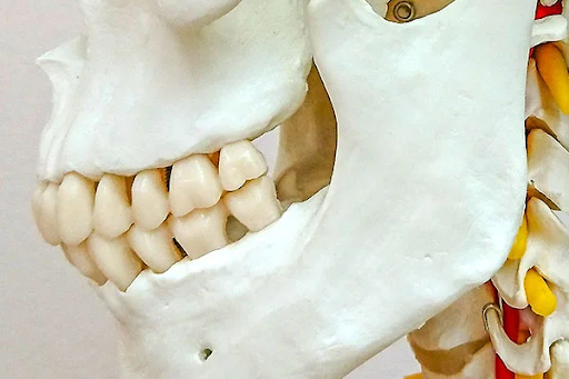 アデノイド顔貌の見分け方セルフチェックリスト